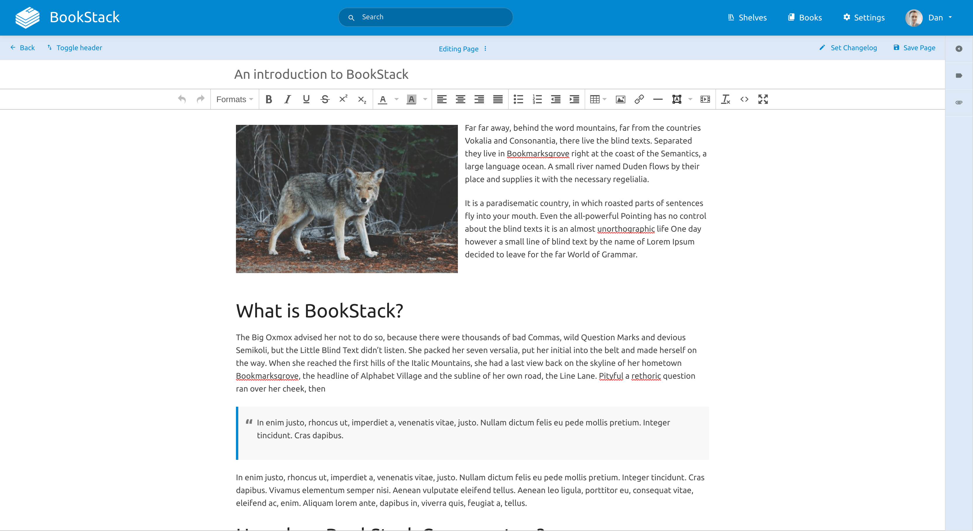 BookStack sayfa düzenleme editörü