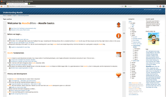 Moodle kurs arayuzu