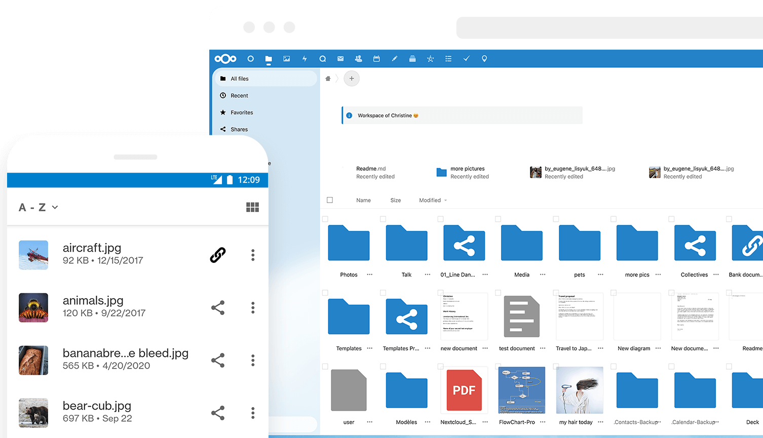 Nextcloud Hub dosya önizleme ekranı